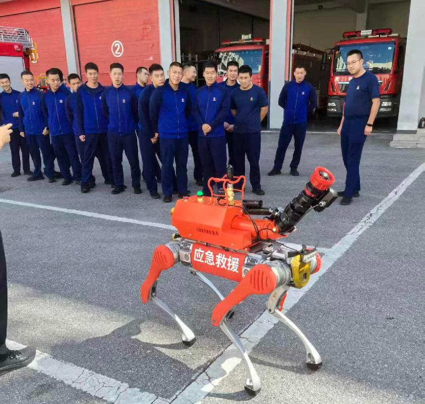 <strong><font color='#333333'>荆门消防水炮狗项目</font></strong>