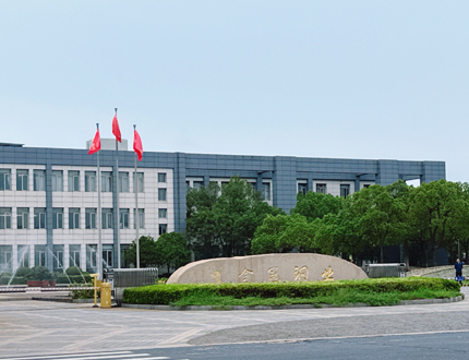 <b>铜陵有色金属集团金冠铜业项目</b>