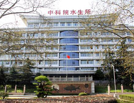 <b>中国科学院水生生物研究所无人船项目</b>