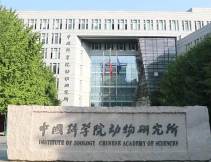 <b>中国科学院动物研究所无人船项目</b>